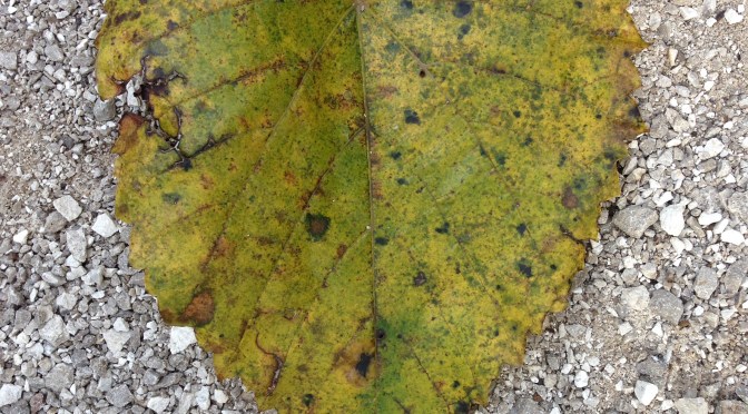 Great article for anyone who is, was, or will be married!