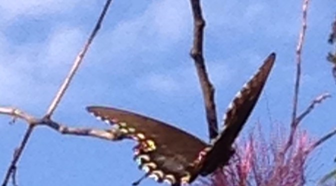 10 Minutes of Silence?